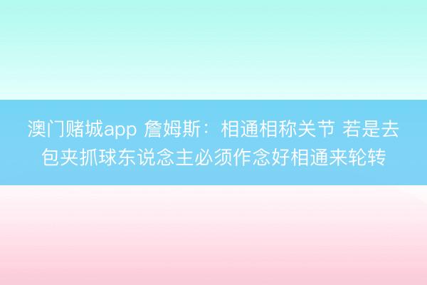 澳门赌城app 詹姆斯：相通相称关节 若是去包夹抓球东说念主必须作念好相通来轮转